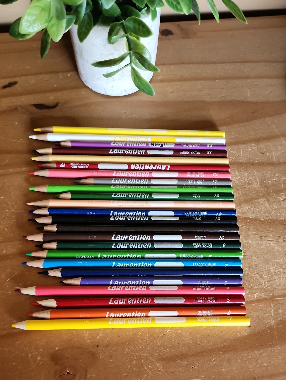 1-24 Vintage Laurentien colored pencil crayons